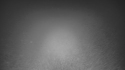 Panorama Vičanov - Tesák