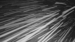 Panorama Vičanov - Tesák