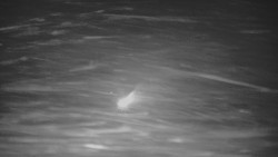 Panorama Vičanov - Tesák