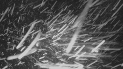 Panorama Vičanov - Tesák