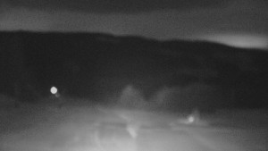 Skiareál Troják - Panorama Vičanov - Tesák - 2.1.2026 v 06:00 Skiareál Troják - Panorama Vičanov - Tesák - 2.1.2026 v 06:00