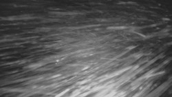 Panorama Vičanov - Tesák