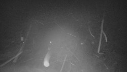 Panorama Vičanov - Tesák