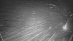 Panorama Vičanov - Tesák