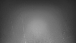 Skiareál Troják - Panorama Vičanov - Tesák - 22.2.2026 v 19:30 Skiareál Troják - Panorama Vičanov - Tesák - 22.2.2026 v 19:30