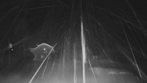 Skiareál Troják - Panorama Vičanov - Tesák - 24.2.2026 v 02:00 Skiareál Troják - Panorama Vičanov - Tesák - 24.2.2026 v 02:00