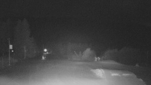 Skiareál Troják - Panorama Vičanov - Tesák - 24.2.2026 v 03:00 Skiareál Troják - Panorama Vičanov - Tesák - 24.2.2026 v 03:00