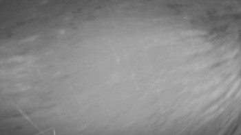 Snímek 10.11.2025 v 03:00