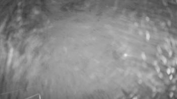 Snímek 11.11.2025 v 00:30