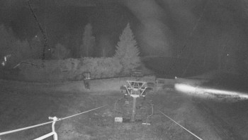 Snímek 11.11.2025 v 19:30