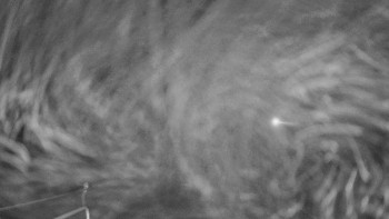 Snímek 12.11.2025 v 04:30