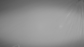 Snímek 13.11.2025 v 01:00