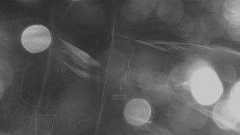 Snímek    2.11.2025 v 22:00