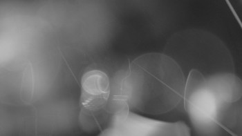 Snímek    3.11.2025 v 03:00