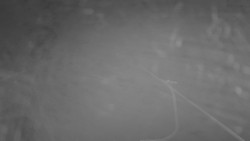 Lanovka - pohled nahoru