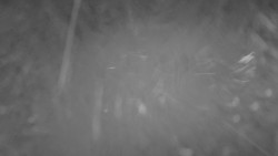 Lanovka - pohled nahoru