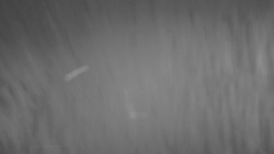 Lanovka - pohled nahoru