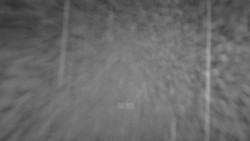 Lanovka - pohled nahoru