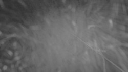 Lanovka - pohled nahoru