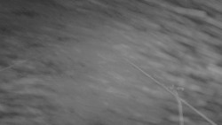 Lanovka - pohled nahoru