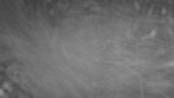 Lanovka - pohled nahoru