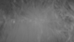 Lanovka - pohled nahoru