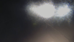 Lanovka - pohled nahoru