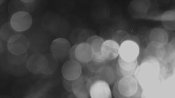 Lanovka - pohled nahoru