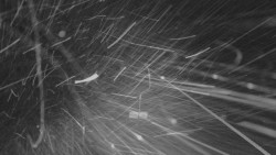 Lanovka - pohled nahoru