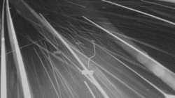 Lanovka - pohled nahoru