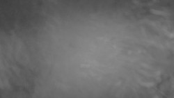 Lanovka - pohled nahoru