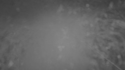 Lanovka - pohled nahoru