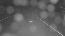 Lanovka - pohled nahoru