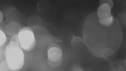 Lanovka - pohled nahoru