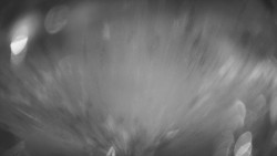 Lanovka - pohled dolů