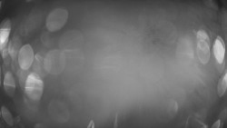 Lanovka - pohled dolů