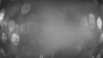 Snímek 9.11.2025 v 18:01