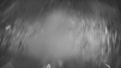 Lanovka - pohled dolů