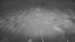 Lanovka - pohled dolů