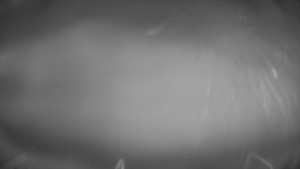 Snow park Paprsek - Lanovka - pohled dolů - 15.11.2025 v 01:01 Snow park Paprsek - Lanovka - pohled dolů - 15.11.2025 v 01:01