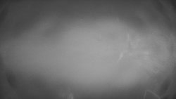 Lanovka - pohled dolů