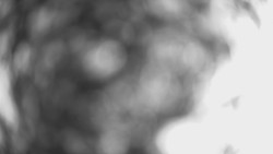 Lanovka - pohled dolů