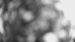 Lanovka - pohled dolů