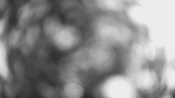 Lanovka - pohled dolů