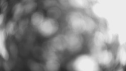 Lanovka - pohled dolů