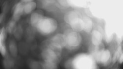 Lanovka - pohled dolů