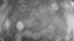 Lanovka - pohled dolů