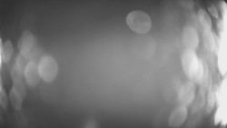 Lanovka - pohled dolů