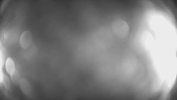 Lanovka - pohled dolů