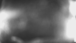 Lanovka - pohled dolů